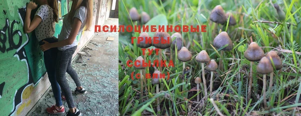 jwh Михайловка