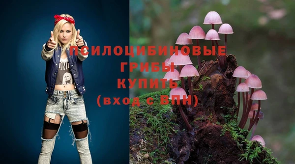 дживик Абинск