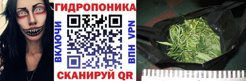 Бошки Шишки Amnesia  Навашино 